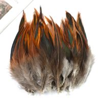 20Pcs Pheasant Feathers for Crafts Jewelry Making Needlework Handicraft Accessories Decoration