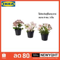 โปรดีล คุ้มค่า IKEA ไม้ประดิษฐ์พร้อมกระถาง ขนาด 9 ซม. 3 ชิ้น ของพร้อมส่ง พรรณ ไม้ น้ำ พรรณ ไม้ ทุก ชนิด พรรณ ไม้ น้ำ สวยงาม พรรณ ไม้ มงคล