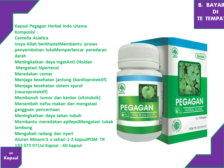 Kapsul Pegagan Extract Alami Nutrisi Otak Dan Kecerdasan Melancarkan