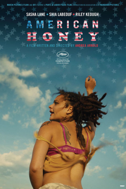 American Honey อเมริกัน ฮันนี่ (DVD) ดีวีดี