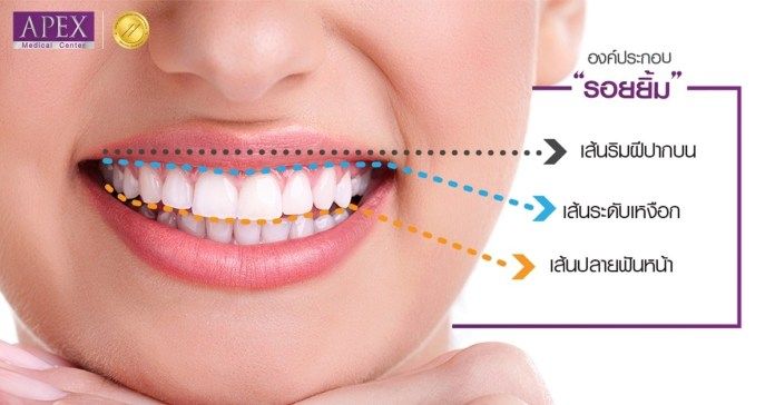 แปรงซอกฟัน-ขนแปรงนำเข้าจากอเมริกา-นวัตกรรมญี่ปุ่น-x2แพ็ค