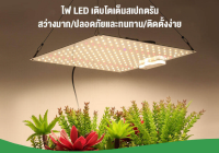 ไฟปลูกต้นกันชา Plant Grow Lights LED เต็มสเปกตรัมเติบโตแสง ไฟปลูกต้นไม้ บโตของพืชควอนตัมเรืองแสง 180 ° เหมาะสำหรับปลูกต้นกล้าผักเรือนกระจก 2000/210LED