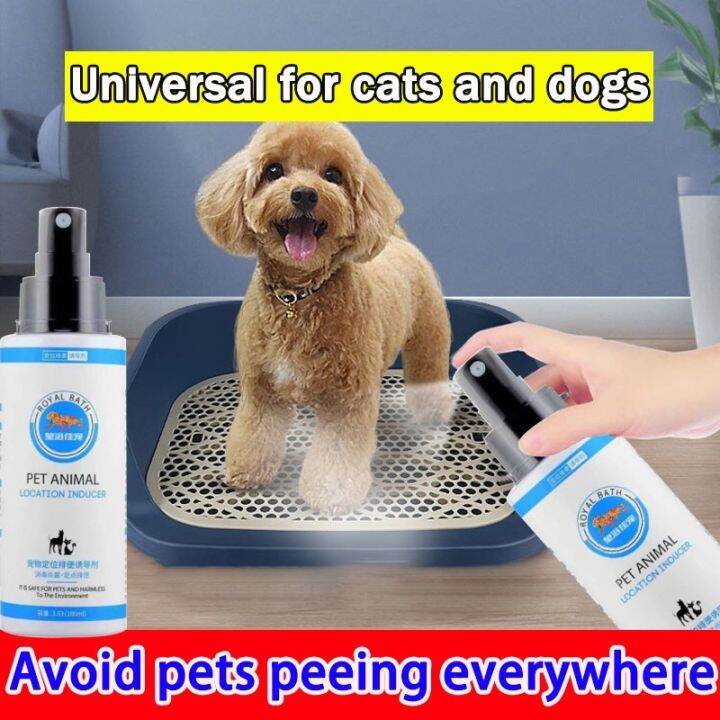 Pet Potty Training Spray 150ml Train your pet to pee in the right ...