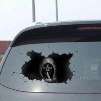[New Changes]สติ๊กเกอร์ติดรถยนต์ Scary Skull Bone Skeleton Window Bumper Truck SUV Home Door Decro Wall Sticker Waterproof20cmx30CM
