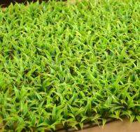 hyfvbujh♂✚  25x25cm Artificial Encrypt Lawn Fake Ornament Grasses Balcony