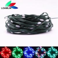 （roast chicken） Dreamcolor LED String WS2812B RGBIC Lighting Addressable Individual วันเกิดงานแต่งงานไฟ Led Dc/usb Music Controller