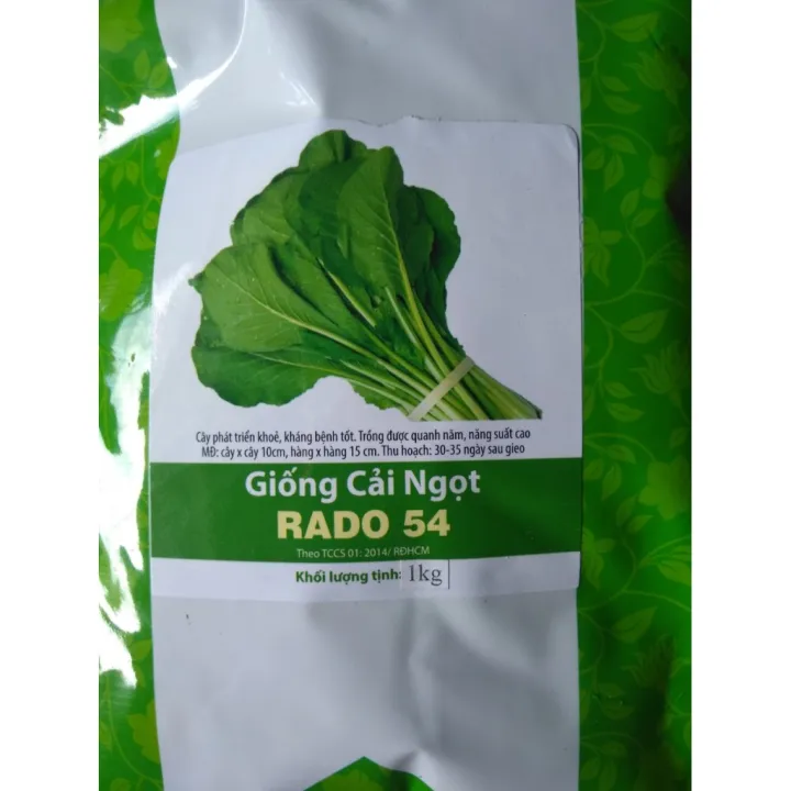 1KG Hạt Giống Cải Ngọt (Brassica integrifolia) Lazada.vn