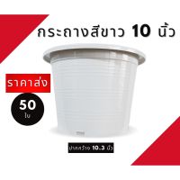 HOT** กระถางสีขาว กระถางปลูกต้นไม้สีขาว 10 นิ้ว 50ใบ งานขาวครีม สวยคลาสสิก ปากกว้าง 10.3 นิ้ว ส่งด่วน กระถาง ต้นไม้ พลาสติก กระถาง ต้นไม้ แบบ ยาว กระถาง ต้นไม้ ใน บ้าน กระถาง ปลูก แค ค ตั ส