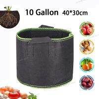 10 Gallon Thicken Fruit Plants Grow Bags Hand Held For Home Garden Plant Growing Fabric Pot Vegetables Flower Bags WB5TH