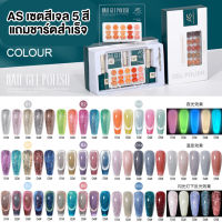 AS เซ็ทB  เซตสีเจล5สี มีให้เลือก 17เซต แถมชาร์ตสำเร็จรูป ปริมาณ15ml