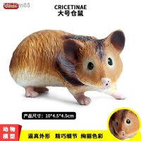 ? ของขวัญ Childrens educational simulation model of solid wildlife rats large hamster plastic toys furnishing articles hands to do