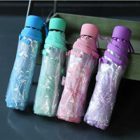 Fation Transparent folding Umbrella Rain Women Men Sun Rain Compact Windproof Style Clear Cherry Blossom Mushroom Apollo Sakura Umbrellas doggtr