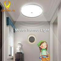 Energy Saaving Motion Sensor Led Lamp 30W Smart Sensor Led Ceiling Lights 220V Indoor Lighting  for Home Gate Stair Corridor Balcony Auto Turn on &amp; Off