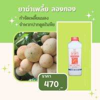 ยาฆ่าเพลี้ย ลองกอง ปลอดสารพิษ มาคาและ FK-T(ใช้ได้ทุกพืช)โดย FK