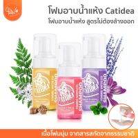 PawSociety โฟมอาบน้ำแห้ง CatIdea สารสกัดจากสมุนไพร ปลอดภัยต่อสัตว์เลี้ยง