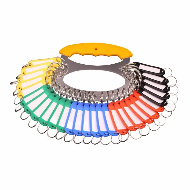 Key Management Key Organizer Key Chains Holder Keychain With 28 Key Label Lazada PH
