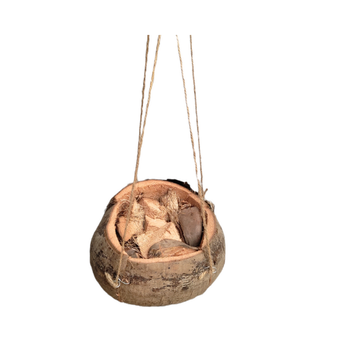 1PC COCONUT HANGING POT,MADE FROM COCONUT HUSK Lazada PH