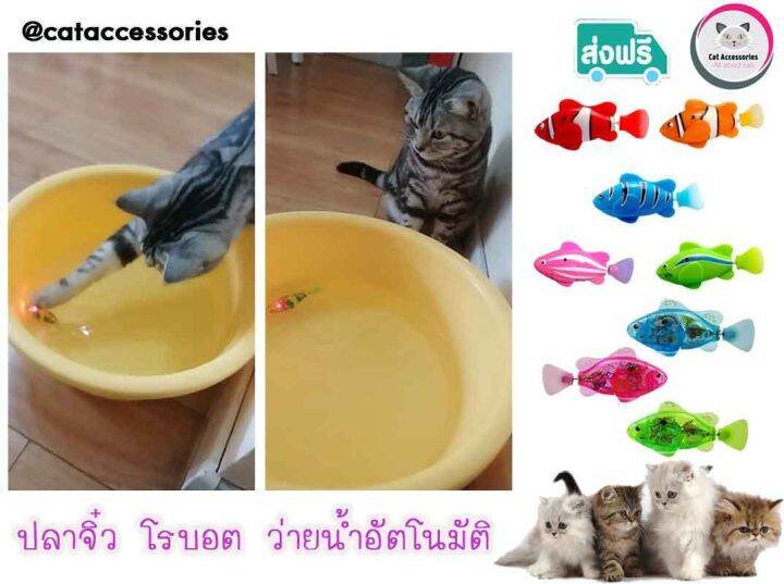 neko-care-ปลาจิ๋วโรบอท-ปลาจิ๋วแบบมีไฟ-ของเล่นปลาลอยน้ำ-ขยับไปมาได้-ว่ายน้ำได้-อุปกรณ์สำหรับแมว-ของเล่นแมว-ปลาใส่ถ่าน-1-ตัว-และ-3-ตัว