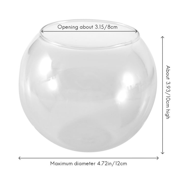 round-sphere-vase-in-transparent-glass-fish-tank