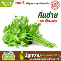 เมล็ดพันธุ์ คื่นช่าย 100เมล็ด อัตราการงอก95% (แถมฟรี!!!เมล็ดดอกทานตะวัน) ปลูกง่าย เมล็ดคุณภาพ เก็บไว้ได้1ปี