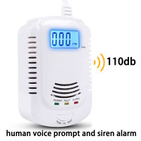 2 In 1 Natural Gas Detector Alarm CO Carbon Monoxide Sensor Two Power Supply Methods Gadgets Inigentes Gas Analyzer for Home