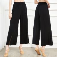 ✕ 2022 Spring And Summer New Dance Clothing Female Adult Mesh Splicing Wide-Leg Pants Modern Dance Practice Clothing Trousers