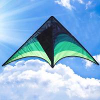 【cw】Large Delta Kites With Handle Line Outdoor Toys For Kids Kites Line Albatross Kites Kite Nylon With Outdoor 30m Ripstop Fly K5C1 ！