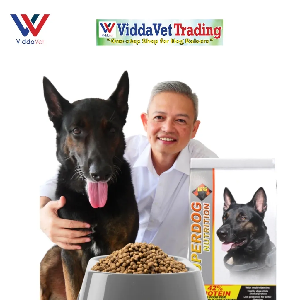 Are High Protein Diets Good For Dogs