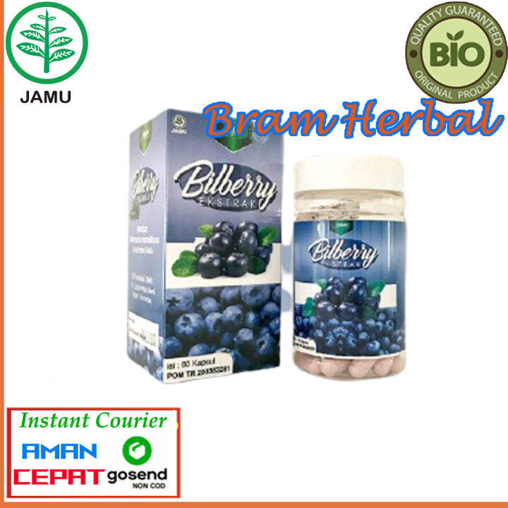 Kapsul Bilberry SYIFA HERBAL Vitamin Mata Minus Retina Lelah Katarak