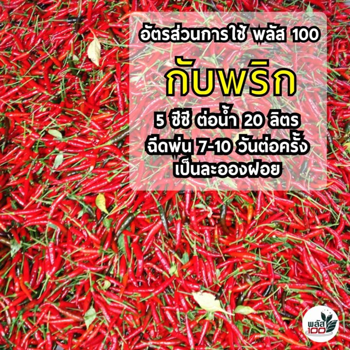 พลัส-100-ราคาพิเศษ-ขนาด-1-ลิตร-สารสกัดธรรมชาติอินทรีย์-ปุ๋ยยา-อาหารเสริมพืช-ผัก-ผลไม้-เพิ่มผลผลิต-ผลดก-เนื้อแน่น