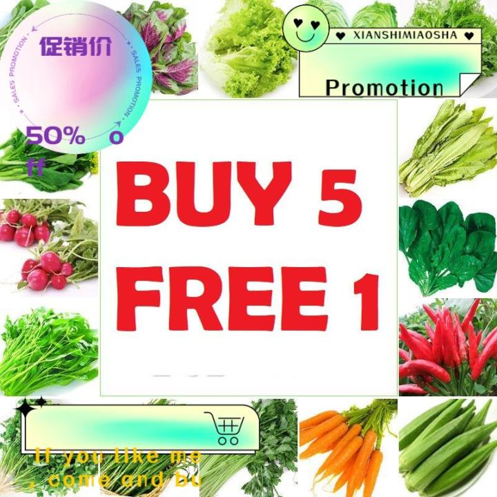 BUY 5 FREE 1 - Non-GMO【READY STOCK】Biji Benih Sayur Vegetable Seeds ...