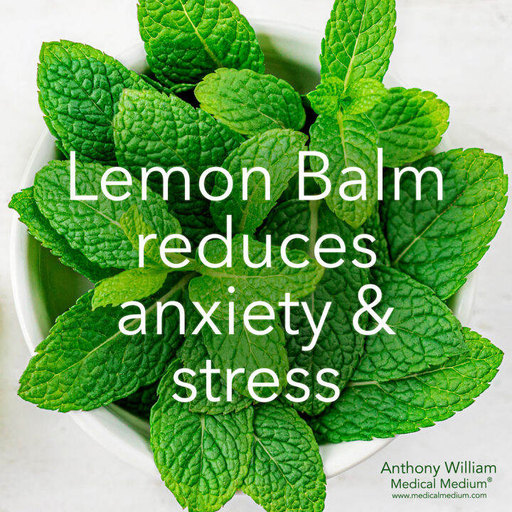 lemon-balm-tea-caffeine-free-20-tea-bags-1-27oz-36g