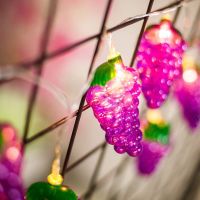 LED Grape Lights String Theme Activity Party Room Christmas Fairy String Lights  Garden Wedding Holiday Home Decoration