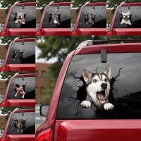 【CC】 Dog Windshield Stickers Car Glass Camping Decals Exterior Window Decoration Personalized