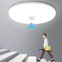 Modern Led Ceiling Light PIR Motion Sensor Ceiling Lamp 20W 30W 40W Smart Home Living Sensor Light Hallways Corridor AC85-265V