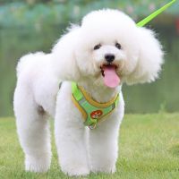 【DT】Pet chest strap vest type dog strap small dog rope outdoor reflective And Breathable dog traction rope dog collar Seat belts hot 1