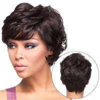 Curly Human Hair Wigs For Black Women Natural Color For Women Wigs Black N8I3