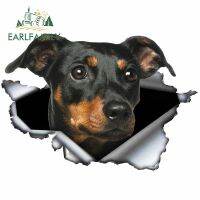 【car parts】 EARLFAMILY ขนาดเล็ก Pinscher สติกเกอร์รถ3D ฉีกขาดโลหะการออกแบบเดิมไวนิลด้านหลังกระจกลำต้นที่กำหนดเองรูปลอกสัตว์เลี้ยงสุนัขกราฟิก