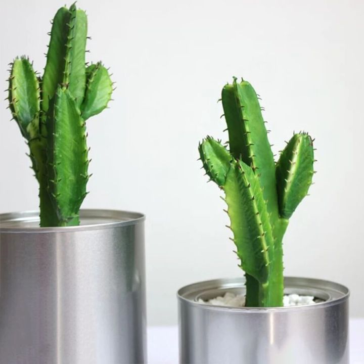 artificial-potted-green-cactus-tropical-fake-plants-suitable-for-decoration-sun-decorate-balcony-living-room-background-wall