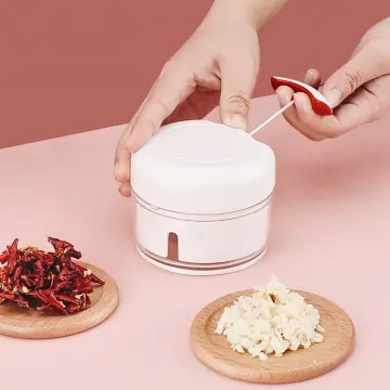 Mini Garlic Chopper - Best Price in Singapore - Sep 2023