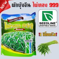 (Flash-Sale) เมล็ดพันธุ์ ผักบุ้งจีน ไผ่ทอง 999 ขนาด 1 กิโลกรัม ผักบุ้งใบไผ่ ผักบุ้งจีนใบไผ่ ผักบุ้ง คุณภาพดี เมล็ดผักบุ้ง Wow สุด