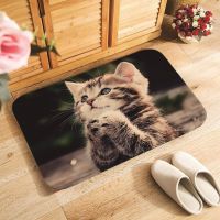 Cute cat doormat Anti-slip steps paws clean 40x60cm 50x80cm flannle Super Soft Absorbent Bathroom Door Mat for Entrance Indoor