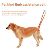 Pet Rear Legs Support Aid Sling Pet Dog Lift Harness For Elderly Dog With Poor Stability Back Leg Hip Disabled Joint Injury Leashes