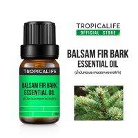 BALSAM FIR BARK ESSENTIAL OIL-ORGANIC 10ML.