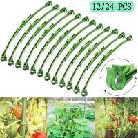 12/24Pcs Adjustable Expandable Stake Arms Plastic Plant Tomato Cage Green trellis Connectors for Home Garden 10 To 14 Inch