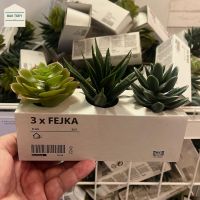 ?พร้อมส่ง?IKEA ไม้ประดิษฐ์ในกระถาง+กระถาง, ใน/นอกอาคาร ขนาด 6 ซม. [ 3 ชิ้น ]  ไม้ประดิษฐ์  ต้นไม้ปลอม ที่ดูเหมือนของจริงจนแยกแทบไม่ออก