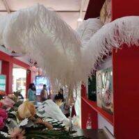 promotional wedding feathers real ostrich feather plumes 30-55cm white centerpieces for wedding table decoration