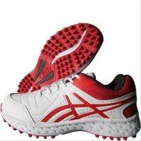 Cricket stud shoes PRO ASE CG 11