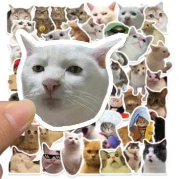 50pcs Cat Meme Funny Animals Stickers Vintage Toy Diy Kids