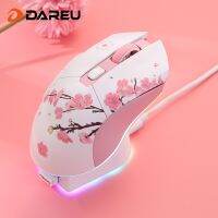 DAREU Dual Modes Mouse RGB 2.4G Wireless USB Wired Gaming Mice Built-In 930Mah Recharging Battery With Macro Set For PC Laptop